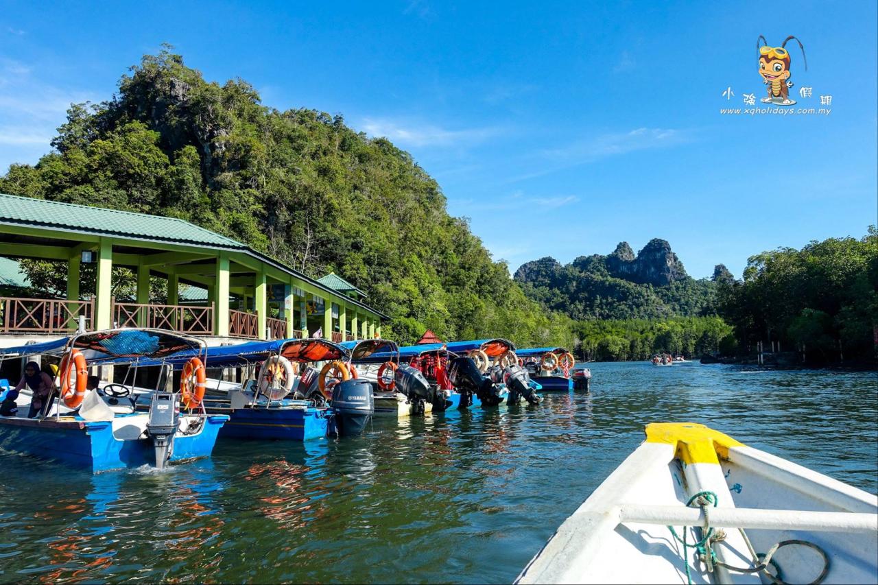 Jelajahi Mangrove Tour Langkawi: Petualangan Ekologi yang Menakjubkan